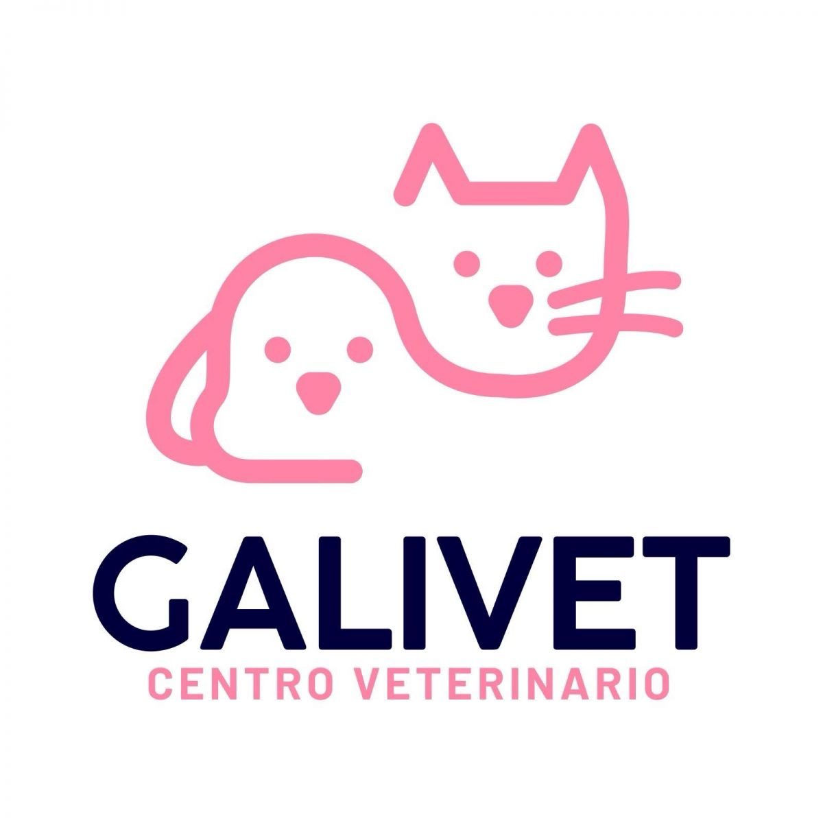 CV GALIVET
