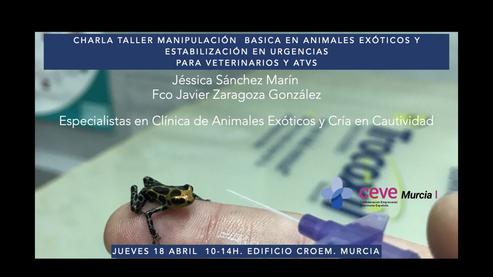 Programa de Desarrollo de Profesional Veterinario y ACVs 