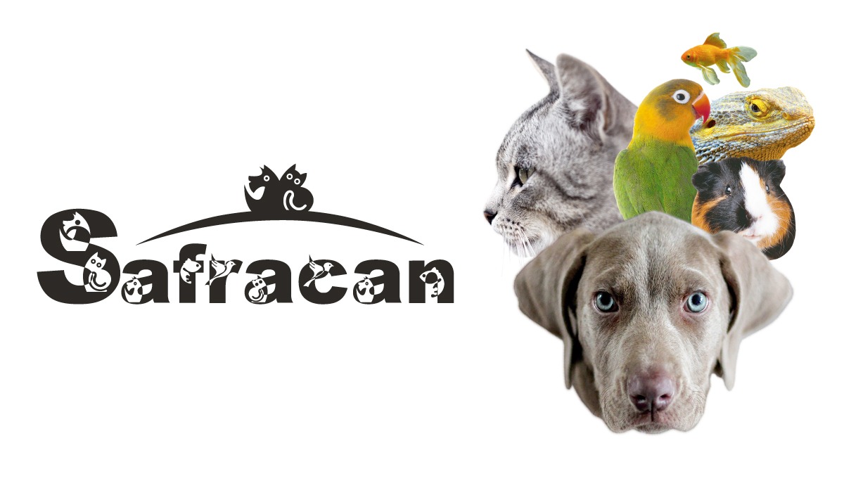 Clnica Veterinaria Safracn