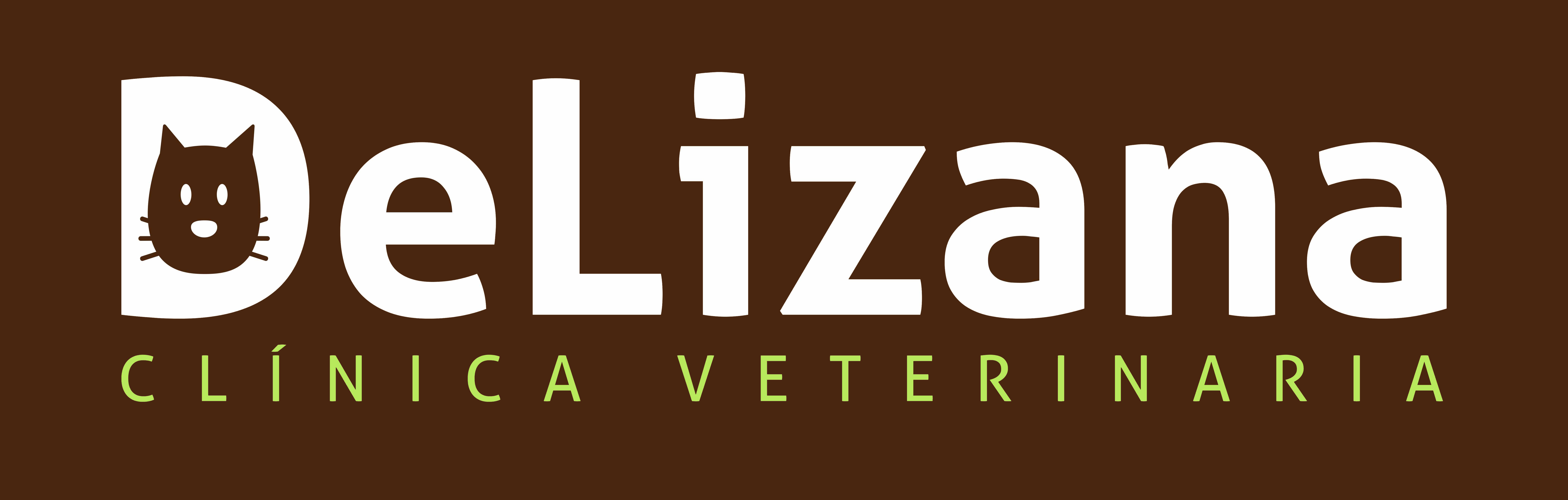 Clnica Veterinaria Lizana