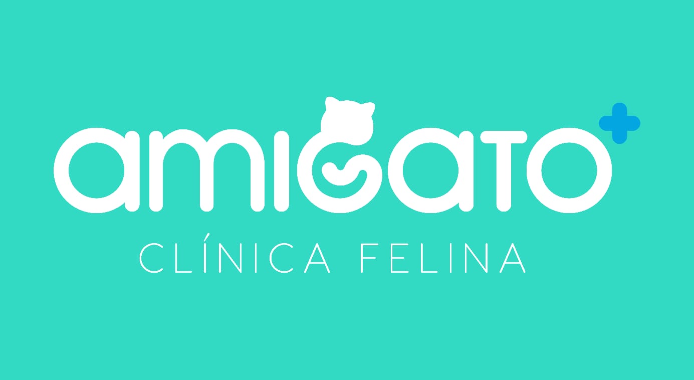 Amigato Clinica Felina