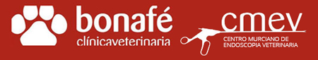 Clnica Veterinaria Bonafe